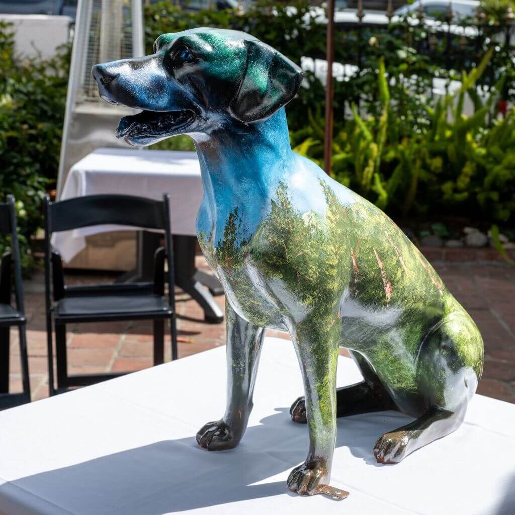 TheVoyageHome TheVoyageHome